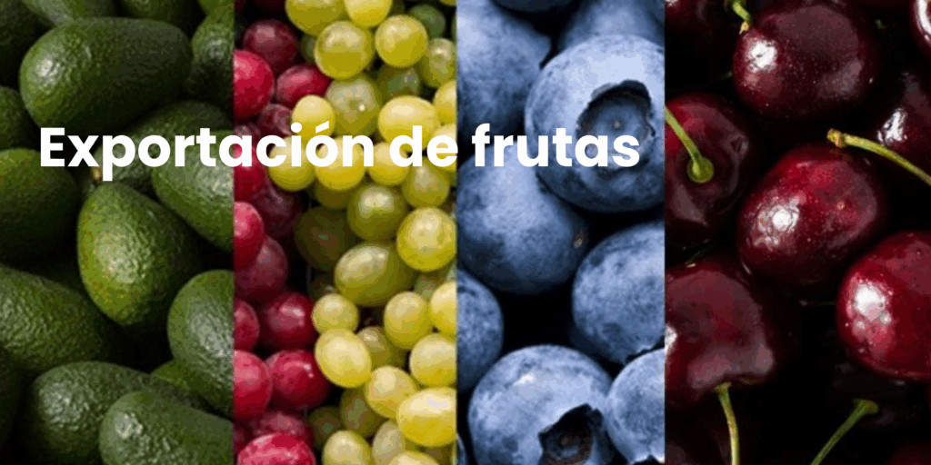 Data logger exportacion frutas trazabilidad Chile