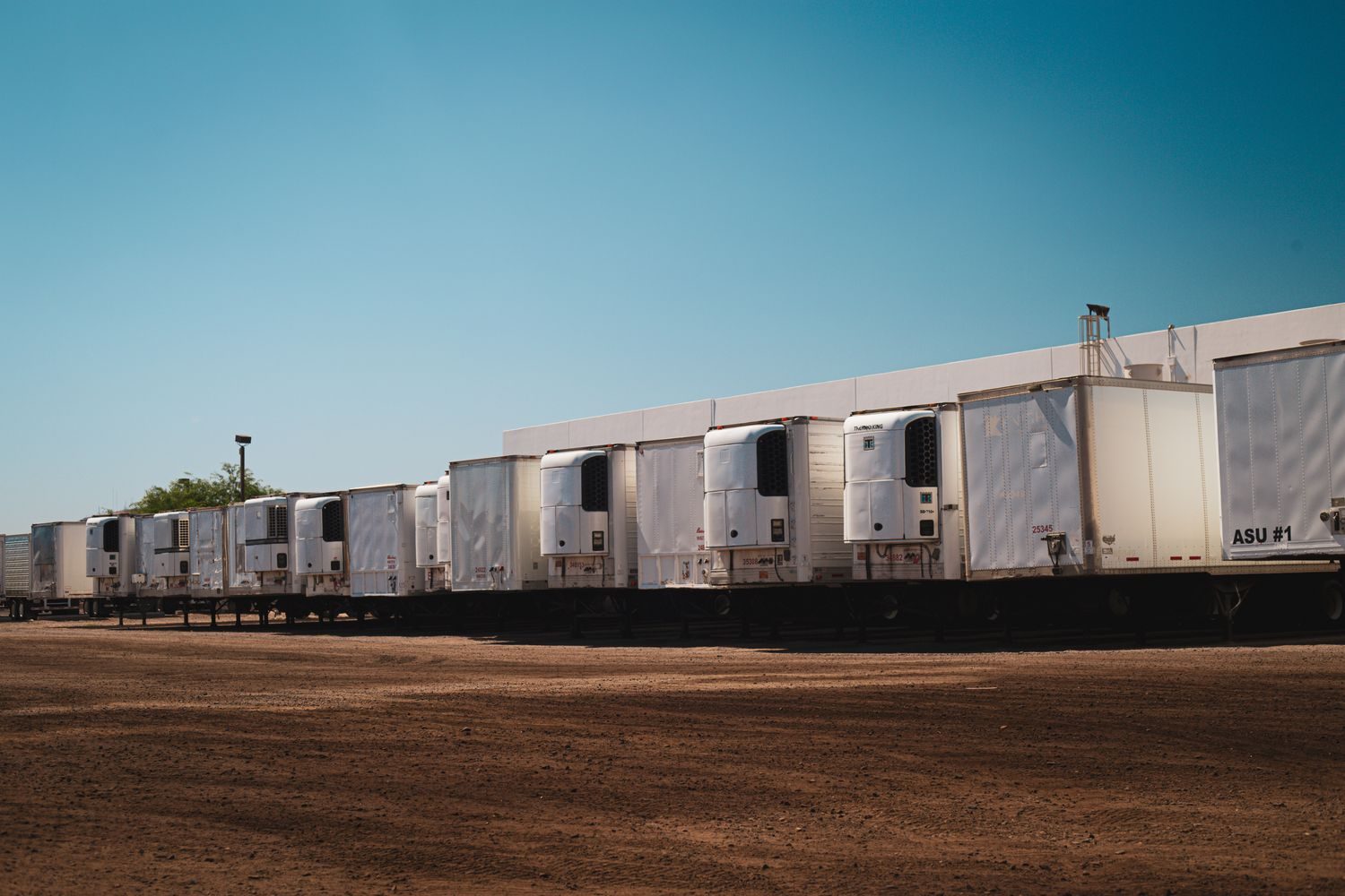 Fila de contenedores refrigerados reefer estacionados en un patio de logística bajo cielo despejado