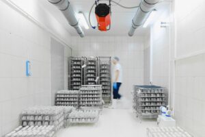 Trabajador dentro de una cámara fría revisando cajas apiladas en un almacén de cadena de frío